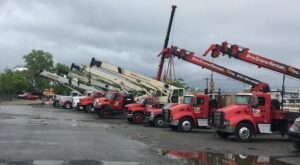 business growth for crane rental